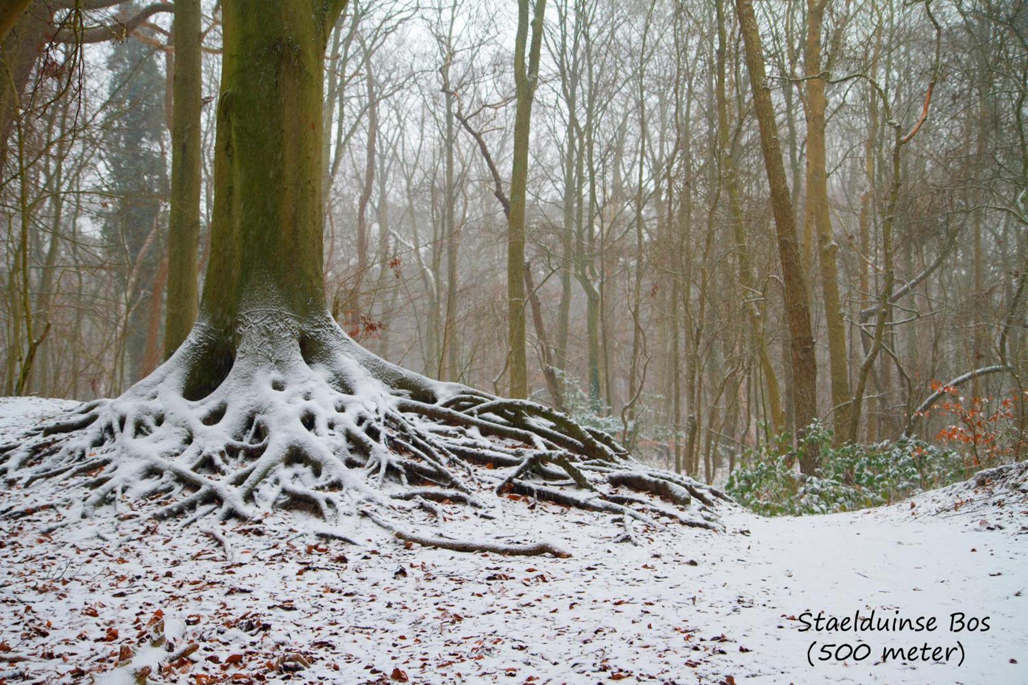Dutchduochalet2 s-Gravenzande Buitenkant foto